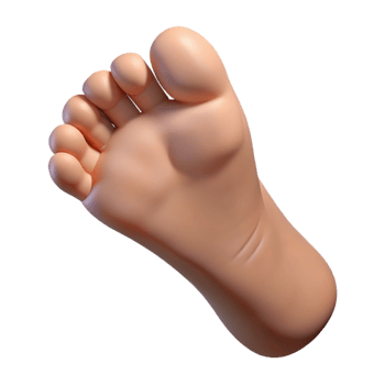 sumptuous art deco Foot, human, bare, NO BACKGROUND with Transparent Background. crisp png