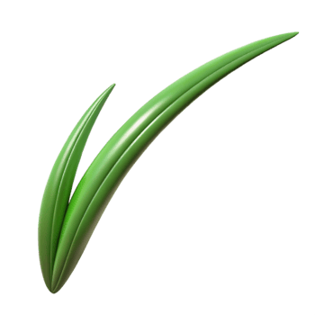 bold enchanting Blade of grass NO BACKGROUND with Transparent Background. 4K png