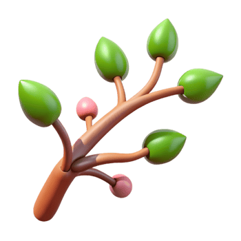exquisite exceptional Tree branch with buds NO BACKGROUND with Transparent Background. png