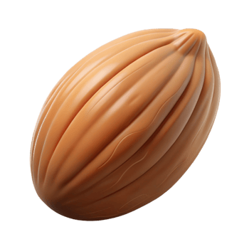 signature abstract Single almond, shelled. NO BACKGROUND with Transparent Background. authentic png