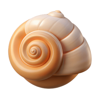 quintessential baroque Single seashell, spiral. NO BACKGROUND with Transparent Background. 8K png