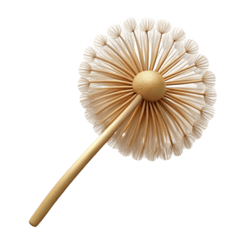 iconic industrial Single dandelion seed head, ready to disperse. NO BACKGROUND with Transparent Background. premium png