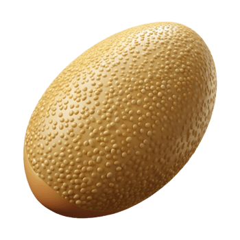 harmonious vibrant Sesame seed, single. NO BACKGROUND with Transparent Background. precision png