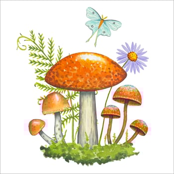 Composition with mushrooms, green grass, fern. Watercolor vector