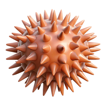 breathtaking avant-garde Sea urchin NO BACKGROUND with Transparent Background. elite png