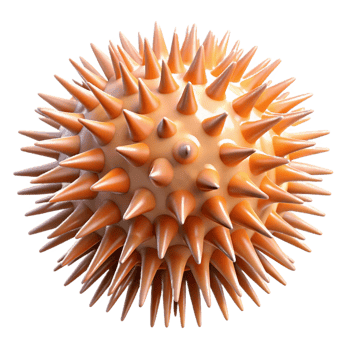 extraordinary mysterious contemporary Sea urchin NO BACKGROUND with Transparent Background. high quality png