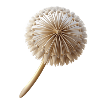 vibrant inspired Single dandelion seedhead NO BACKGROUND with Transparent Background. png