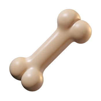 mysterious stunning Single bone NO BACKGROUND with Transparent Background. professional png