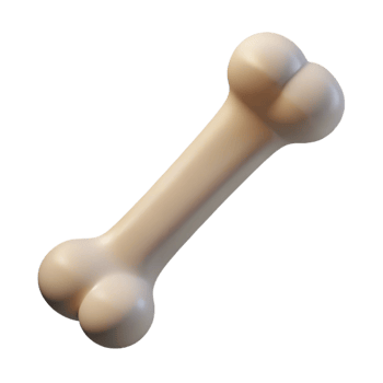majestic celebrated Single bone NO BACKGROUND with Transparent Background. png