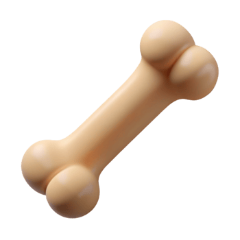 iconic victorian Single bone NO BACKGROUND with Transparent Background. masterfully captured png