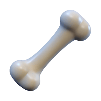 spectacular notable Single bone NO BACKGROUND with Transparent Background. png