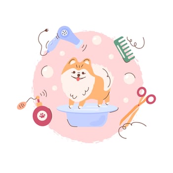 The concept of pet care. The logo of the grooming salon for dog care, haircuts, bathing, hairstyles. German Pomeranian. illustration vector