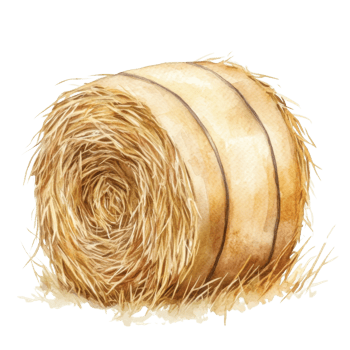 A watercolor hay bale roll on transparent background. png