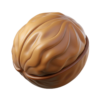 reflective serene A single, brown walnut, in shell, NO BACKGROUND with Transparent Background. sharp png