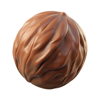 exquisite nordic A single, brown walnut, in shell, NO BACKGROUND with Transparent Background. sharp png