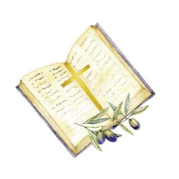 Open Bible, cross and olive branch. Watercolor illustration. For first communion, baptism greeting cards, invitation, wedding card, save the date and celebration, anniversary and birthday, party png