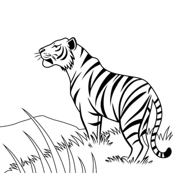 Elegant Tiger Line Art Illustration vector