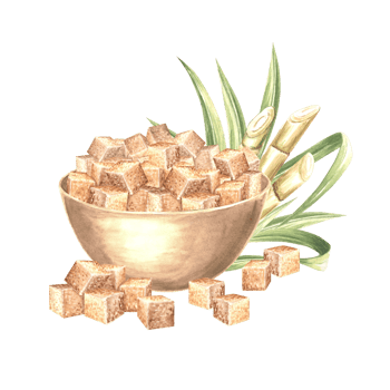 Brown sugar cubes in bowl and cut cane stalks watercolor illustration isolated. Sugar cane stems with leaves. Hand drawn natural sweet ingredient for cooking. Clipart for food design in sketch style. png