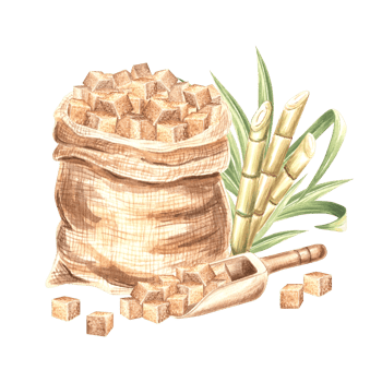 Canvas bag with brown sugar cubes and wooden scoop watercolor illustration isolated. Product of sugar cane processing. Hand drawn sweet ingredient for cooking. Clipart for food design in sketch style. png
