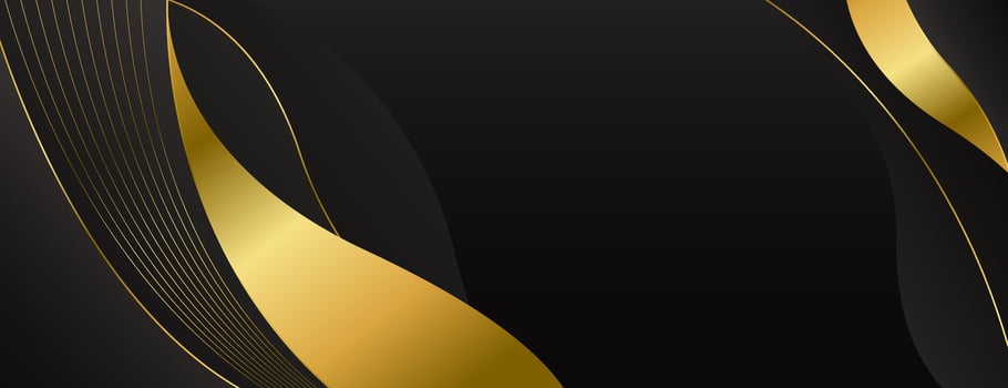 Modern luxury black and gold banner background vector