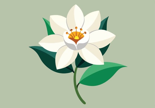 Elegant White Flower Blossom with Green Leaves Botanical Illustration vector