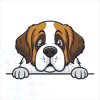 Peeking St. Bernard Dog vector