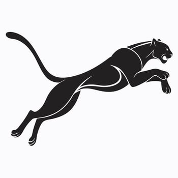 Leaping Black Panther Illustration Design vector
