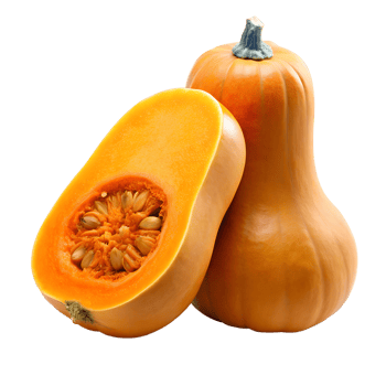 A vibrant butternut squash halved and whole showing seeds and flesh a delicious autumnal vegetable isolated on white or transparent background png