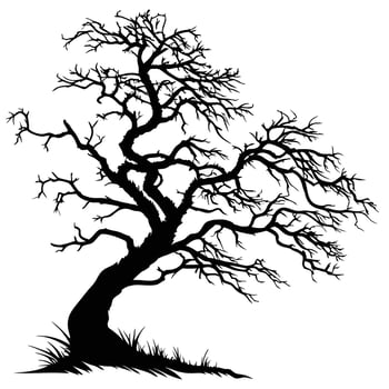 Silhouette Of Old Gnarled Tree vector