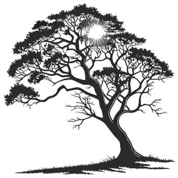 Solitary Tree Silhouette With Sunlight Illustration vector