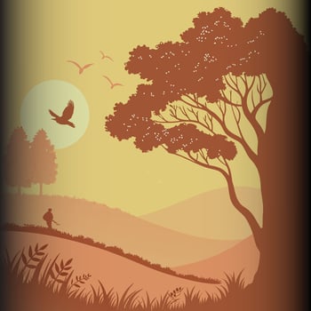 Silhouette of a Man Fishing by the River vector