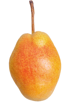Pear yellow with red color isolate. Fruit, pear. png