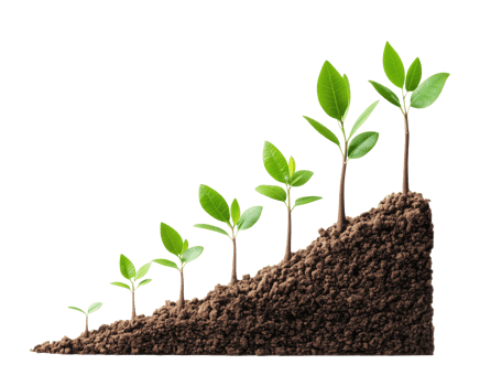 Growing plants in the ground, isolated on a transparent background png