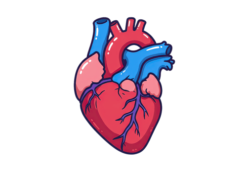 Cartoon Style Heart Illustration for Medical Concepts png