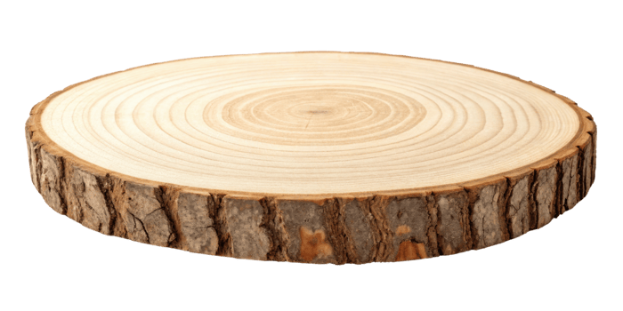 Natural wood slice, round shape, rustic decor, wooden surface, tree trunk, organic material, home decoration png