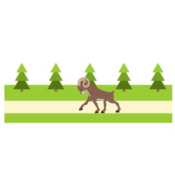 Ram. Ram animal runs in rural landscape vector