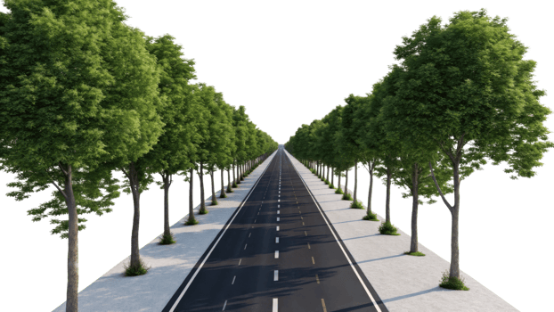 scenic view of straight road lined with lush green trees, creating serene and inviting atmosphere png