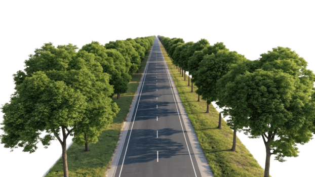 scenic view of straight road lined with lush green trees on both sides, creating serene atmosphere png