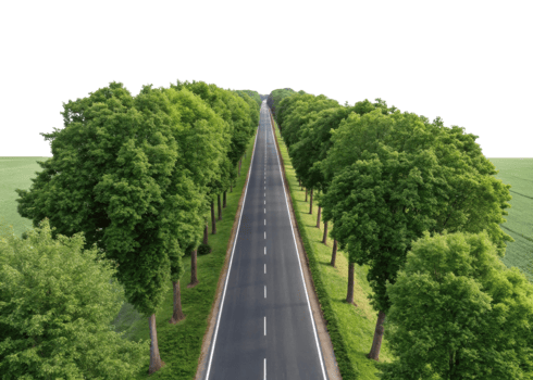 scenic view of straight road lined with lush green trees on both sides, creating peaceful atmosphere png