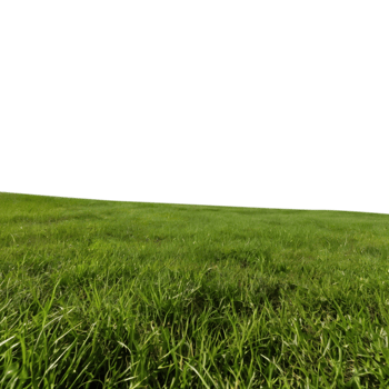 Green garden gress field png