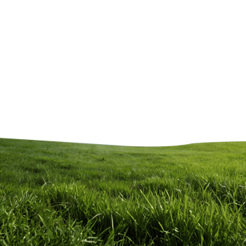 Summer grass field nature png
