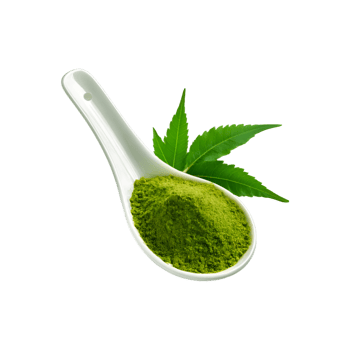 White spoon of neem leaf powder with fresh neem leaf on transparent background png
