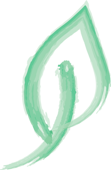 Artistic depiction of a green leaf representing nature, sustainability, and environmental mindfulness in a simple and elegant abstract design png