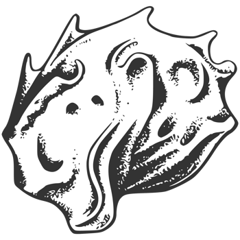 A black and white drawing of a shell png