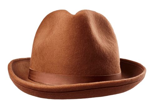 Brown Wool Fedora Hat png
