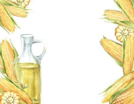 Corn oil glass jug, bottle square frame with fresh sweetcorn, maize cob with husk, whole, cut cobs and kernels. Food, cooking oil label template, card, menu Hand drawn watercolor isolated illustration png