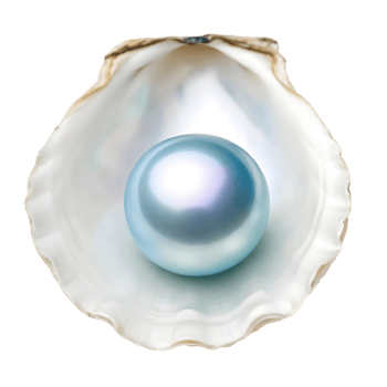 Single pearl in an oyster shell png