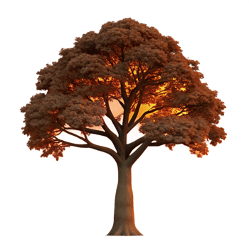 beautiful impressionist A majestic oak tree silhouetted against a fiery sunset. Dramatic lighting, silhouette style authentic png