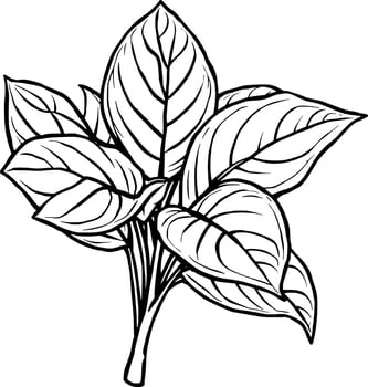 Detailed Line Drawing Of Lush Green Plant Leaves Botanical Illustration vector