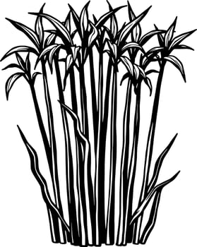 Stylized Black And White Illustration Of Tall Grasses Or Reeds vector